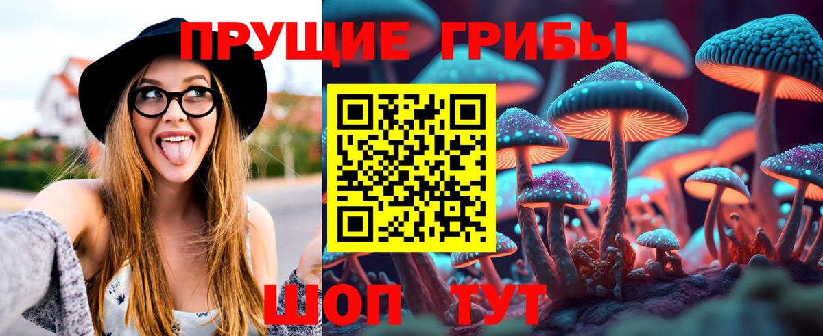 Шелехов  Галлюциногенные грибы Psilocybe  как найти   Галлюциногенные грибы Magic Shrooms  Вход с VPN 